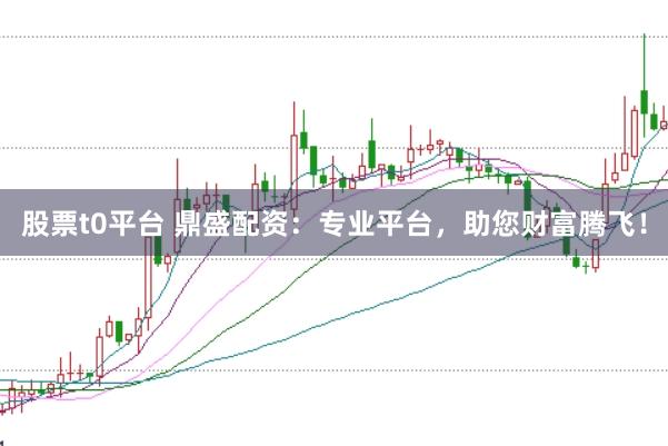 股票t0平台 鼎盛配资：专业平台，助您财富腾飞！