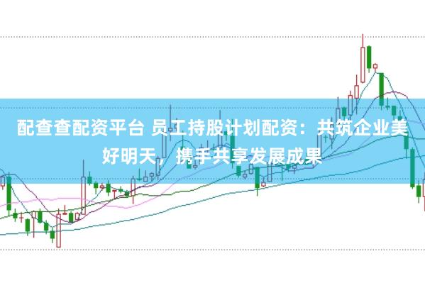 配查查配资平台 员工持股计划配资：共筑企业美好明天，携手共享发展成果