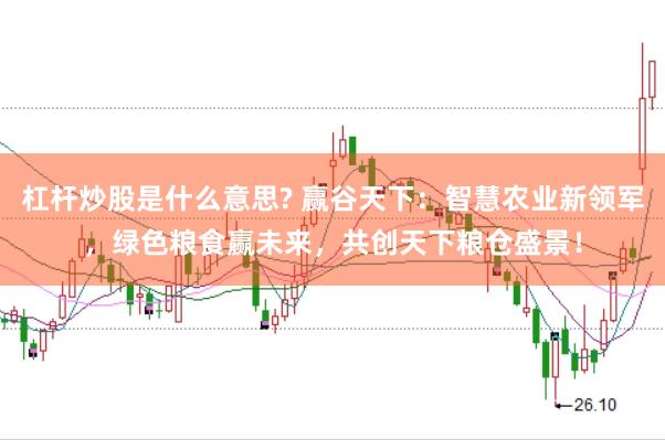 杠杆炒股是什么意思? 赢谷天下：智慧农业新领军，绿色粮食赢未来，共创天下粮仓盛景！