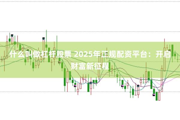 什么叫做杠杆股票 2025年正规配资平台：开启财富新征程