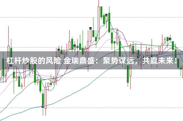 杠杆炒股的风险 金瑞鼎盛：聚势谋远，共赢未来！