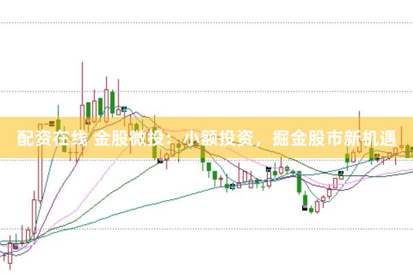 配资在线 金股微投：小额投资，掘金股市新机遇