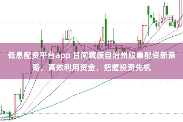 低息配资平台app 甘南藏族自治州股票配资新策略,高效利用资金,把握投资先机