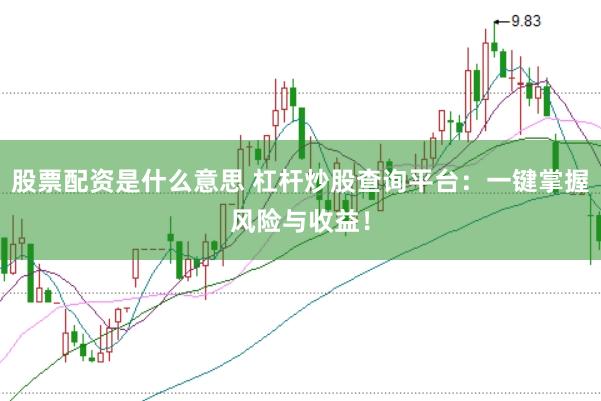 股票配资是什么意思 杠杆炒股查询平台：一键掌握风险与收益！