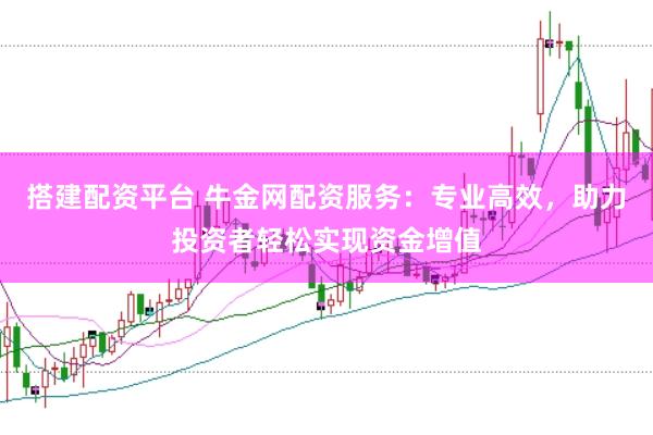 搭建配资平台 牛金网配资服务：专业高效，助力投资者轻松实现资金增值