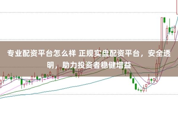 专业配资平台怎么样 正规实盘配资平台，安全透明，助力投资者稳健增益