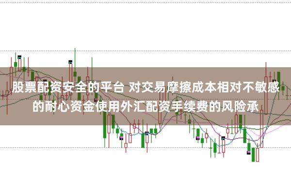股票配资安全的平台 对交易摩擦成本相对不敏感的耐心资金使用外汇配资手续费的风险承