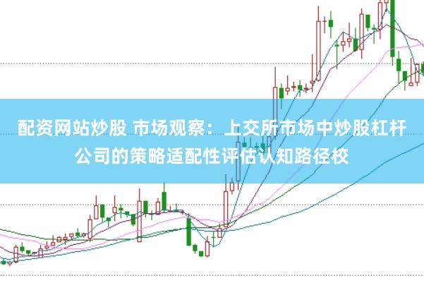 配资网站炒股 市场观察:上交所市场中炒股杠杆公司的策略适配性评估认知路径校