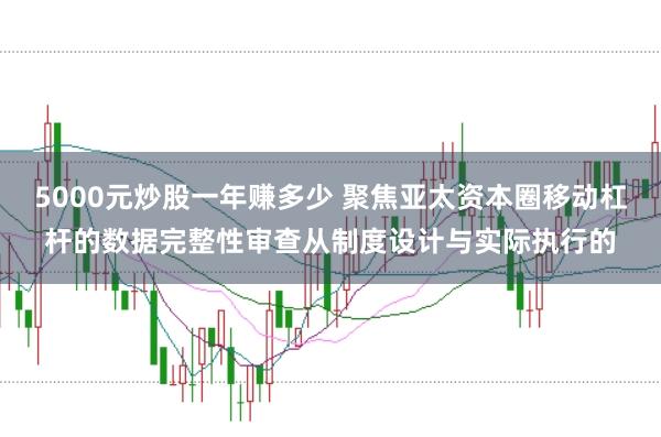 5000元炒股一年赚多少 聚焦亚太资本圈移动杠杆的数据完整性审查从制度设计与实际执行的