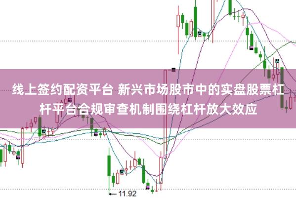 线上签约配资平台 新兴市场股市中的实盘股票杠杆平台合规审查机制围绕杠杆放大效应