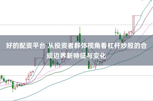 好的配资平台 从投资者群体视角看杠杆炒股的合规边界新特征与变化