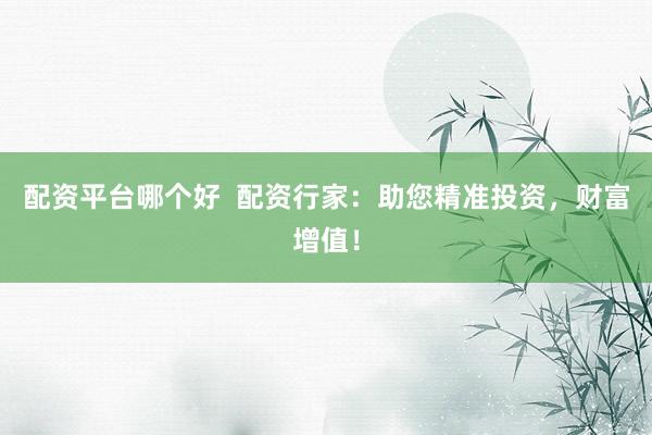 配资平台哪个好  配资行家：助您精准投资，财富增值！