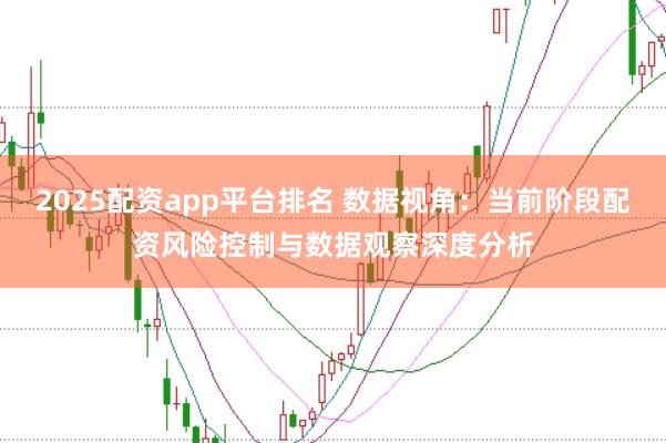 2025配资app平台排名 数据视角：当前阶段配资风险控制与数据观察深度分析