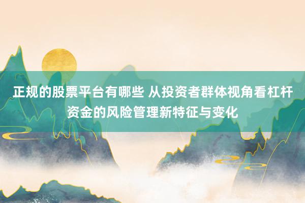 正规的股票平台有哪些 从投资者群体视角看杠杆资金的风险管理新特征与变化
