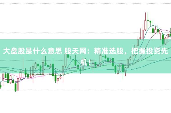 大盘股是什么意思 股天网：精准选股，把握投资先机！