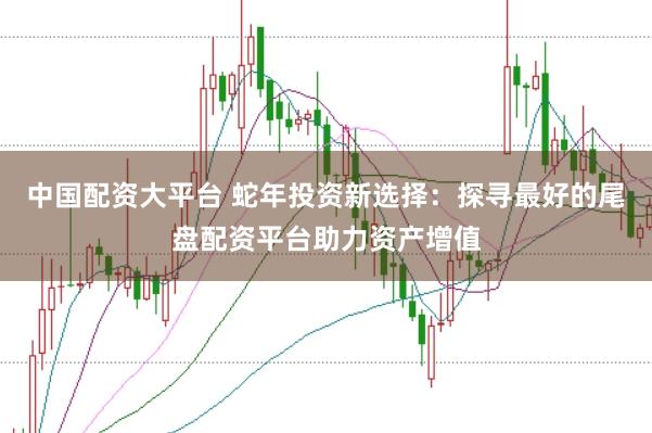 中国配资大平台 蛇年投资新选择：探寻最好的尾盘配资平台助力资产增值