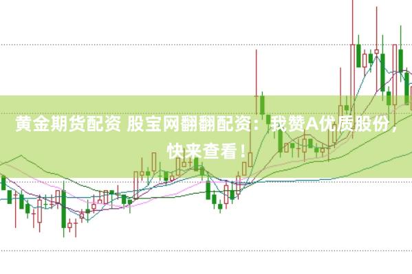 黄金期货配资 股宝网翻翻配资：我赞A优质股份，快来查看！
