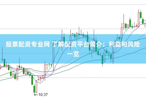 股票配资专业网 了解配资平台简介：利益和风险一览