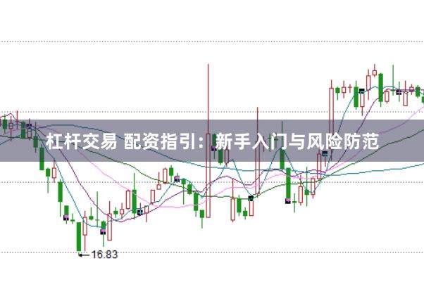 杠杆交易 配资指引：新手入门与风险防范