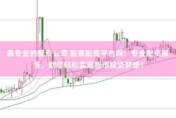 最专业的配资公司 股票配资平台网：专业配资服务，助您轻松实现股市投资梦想！