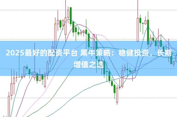 2025最好的配资平台 黑牛策略：稳健投资，长期增值之选