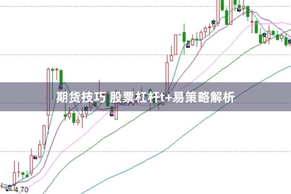 期货技巧 股票杠杆t+易策略解析