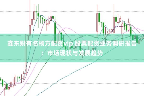 鑫东财有名杨方配资vip 股票配资业务调研报告：市场现状与发展趋势