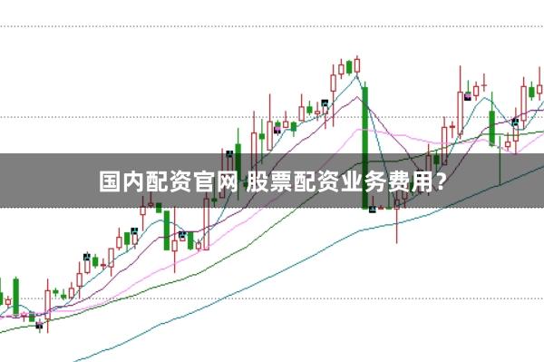 国内配资官网 股票配资业务费用？