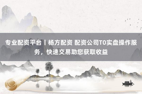 专业配资平台丨杨方配资 配资公司T0实盘操作服务，快速交易助您获取收益