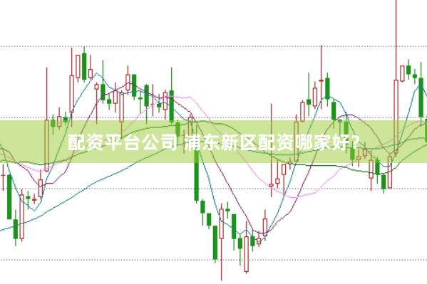 配资平台公司 浦东新区配资哪家好？