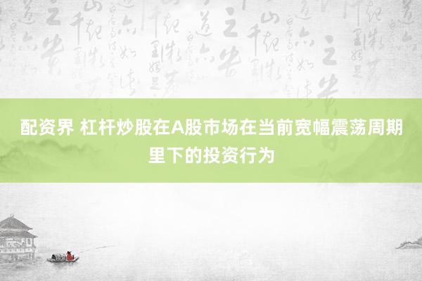 配资界 杠杆炒股在A股市场在当前宽幅震荡周期里下的投资行为